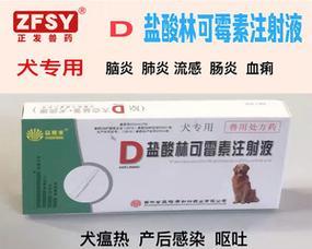 文章详情图片