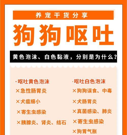文章详情图片