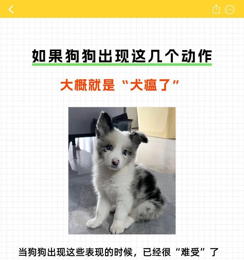 文章详情图片