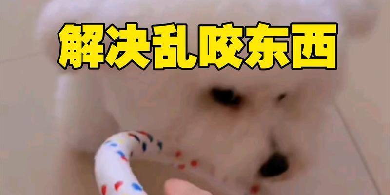 文章详情图片