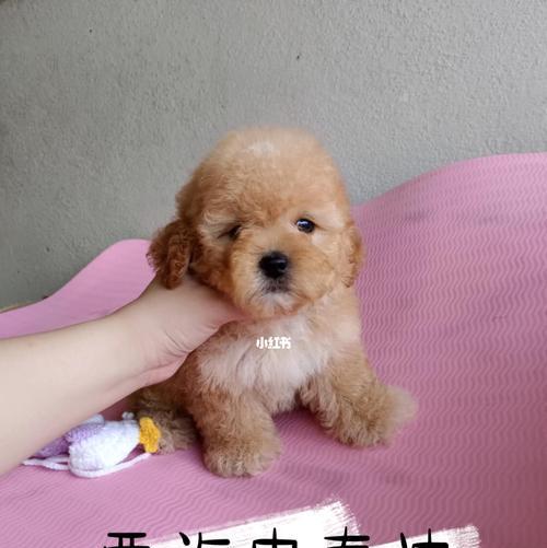 文章详情图片