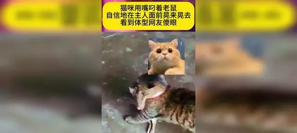 文章详情图片