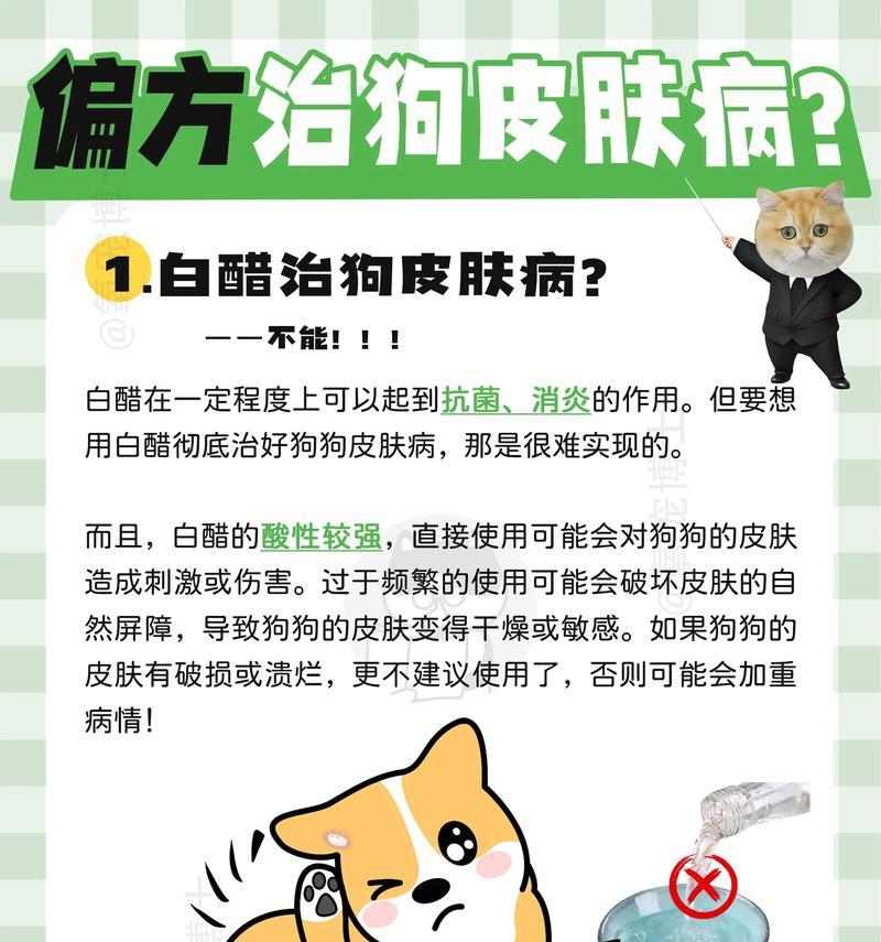 文章详情图片
