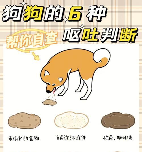文章详情图片