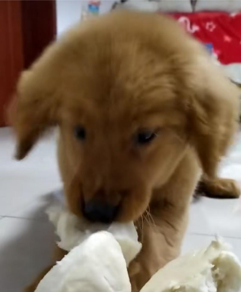 文章详情图片