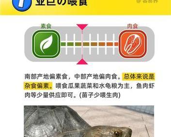 文章详情图片