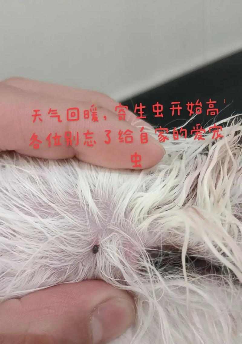 文章详情图片