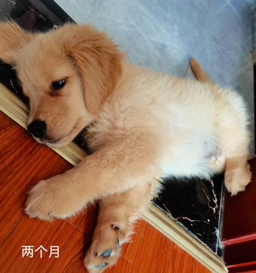 文章详情图片