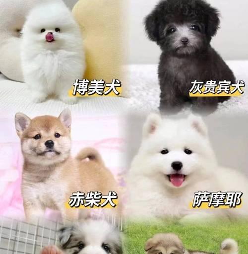 文章详情图片