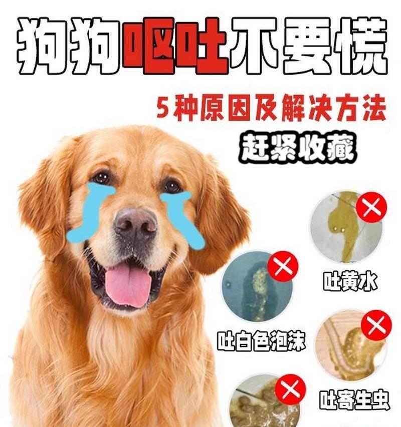 文章详情图片