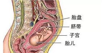 文章详情图片