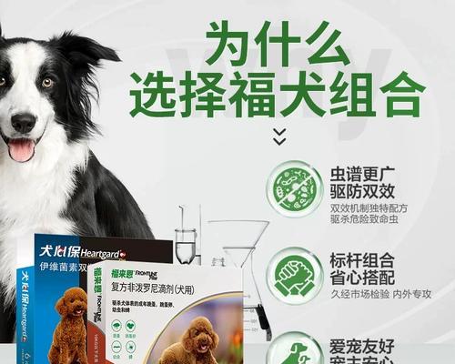 给小狗打虫子的药物选择（了解小狗打虫药物的种类和使用方法，保护它们健康成长）