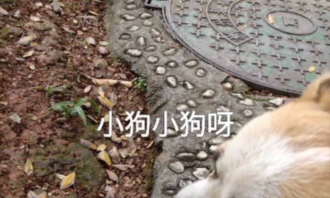 文章详情图片
