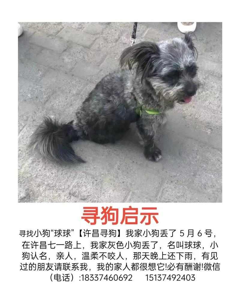 文章详情图片