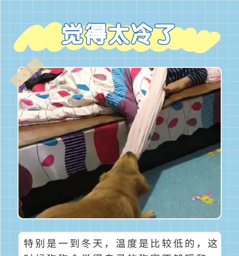 文章详情图片