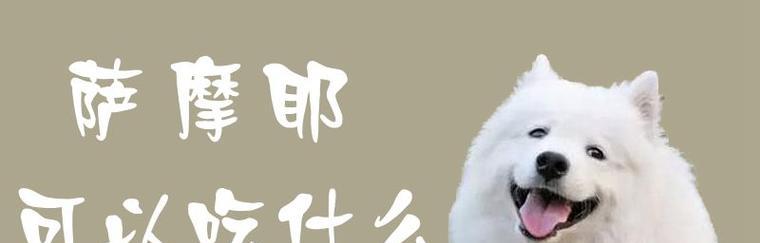 文章详情图片