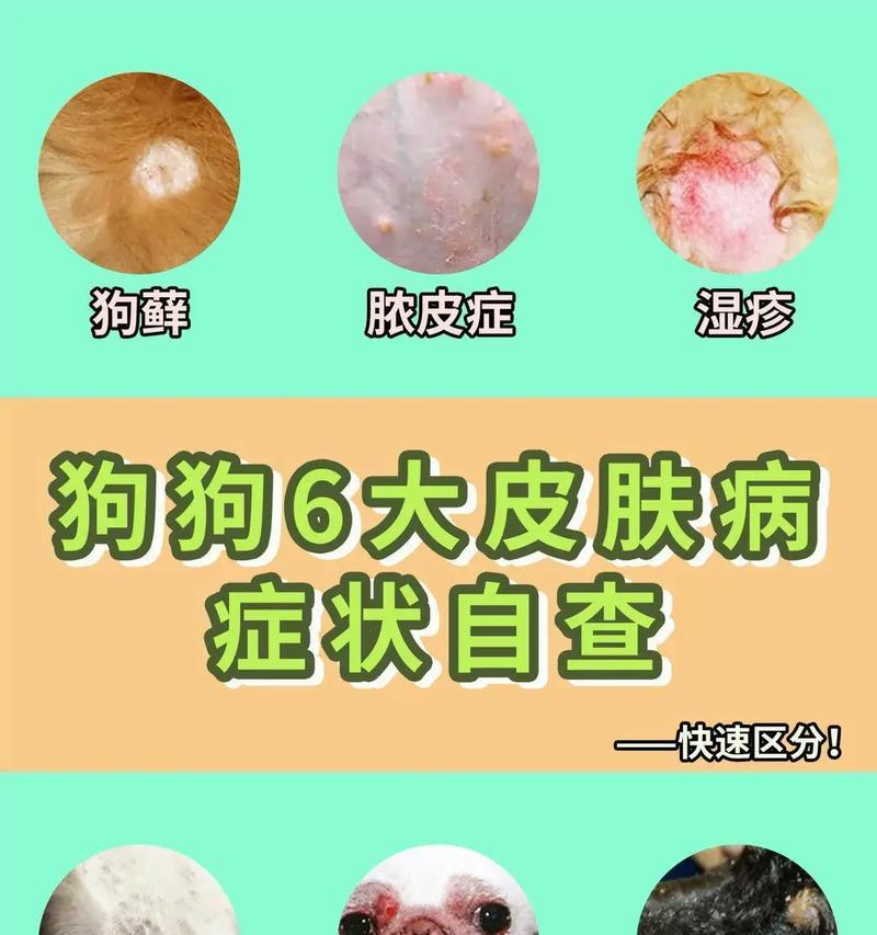 文章详情图片