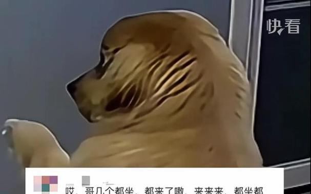 文章详情图片