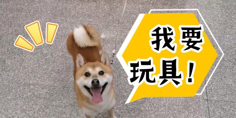 文章详情图片