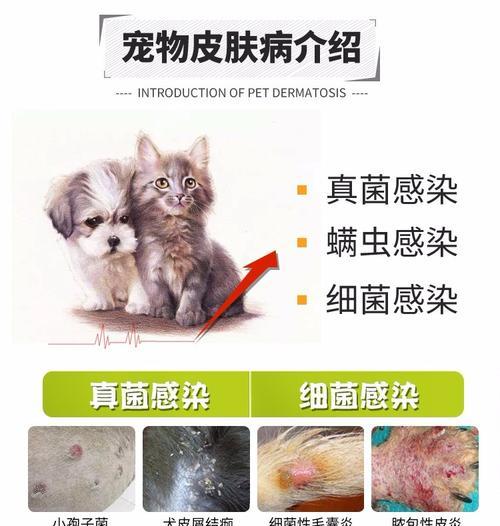 文章详情图片