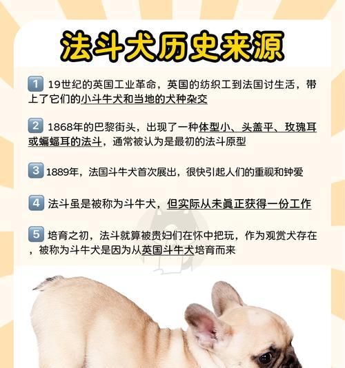 文章详情图片