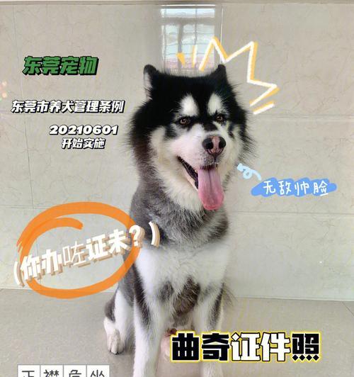 文章详情图片