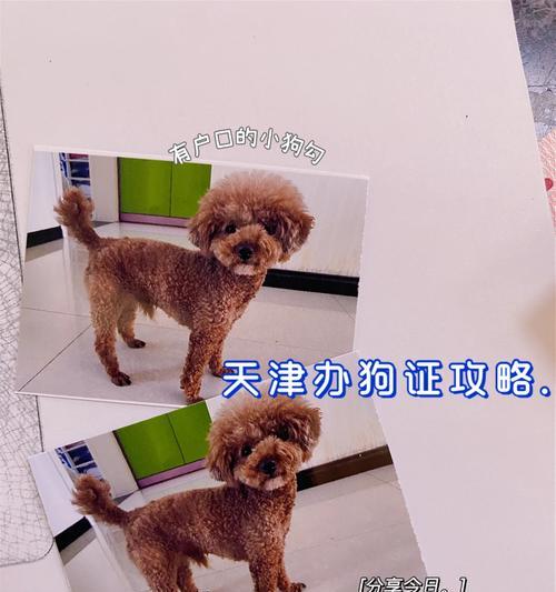 文章详情图片