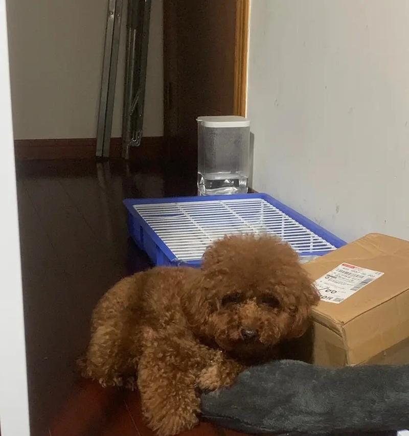 文章详情图片