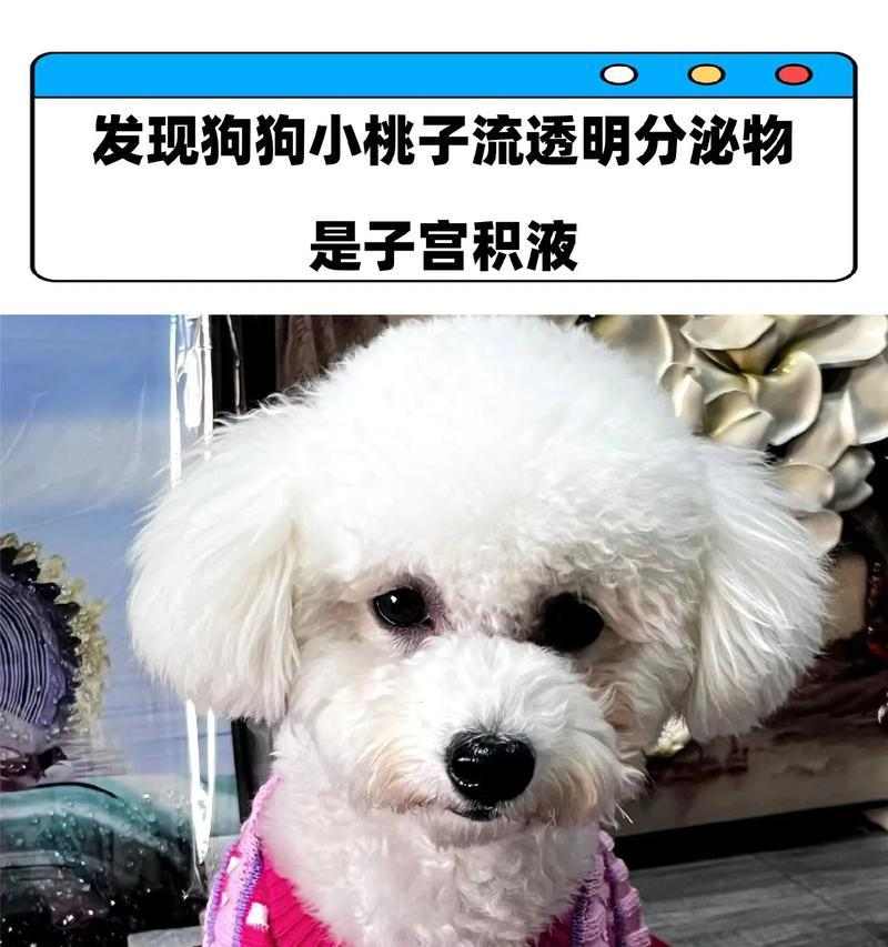 文章详情图片