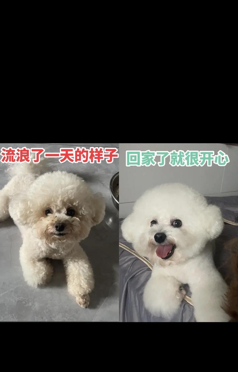 文章详情图片