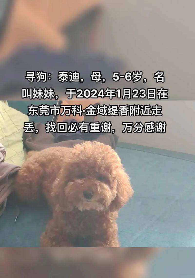文章详情图片