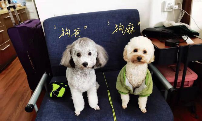 文章详情图片