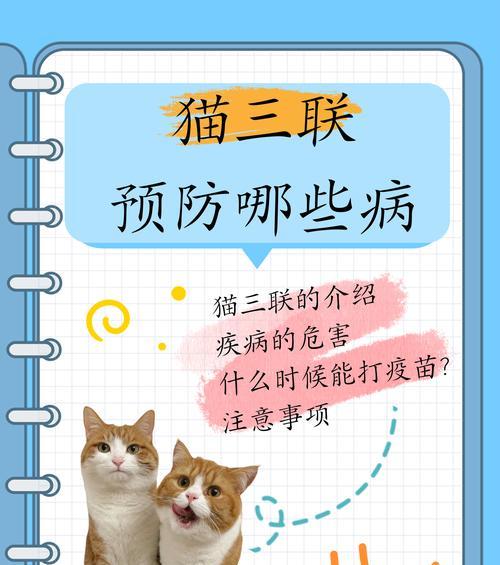 小猫拉稀的原因及治疗方法（了解小猫拉稀的常见原因和正确治疗方法）