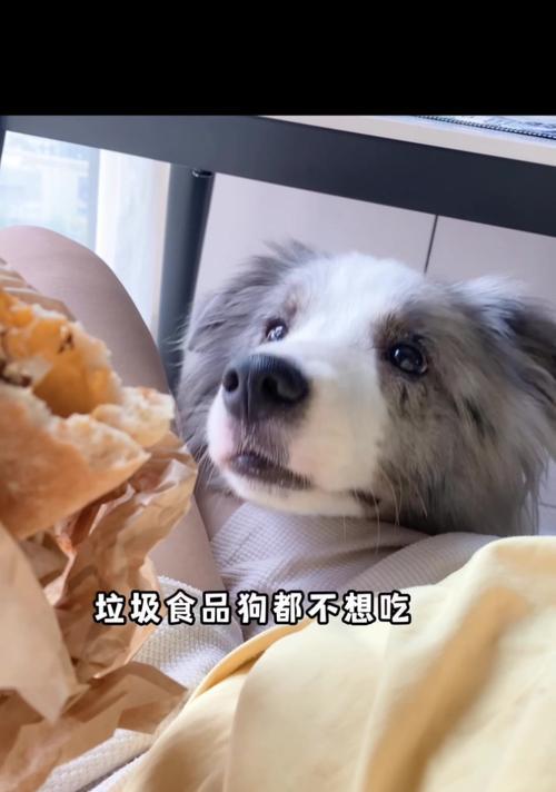 文章详情图片