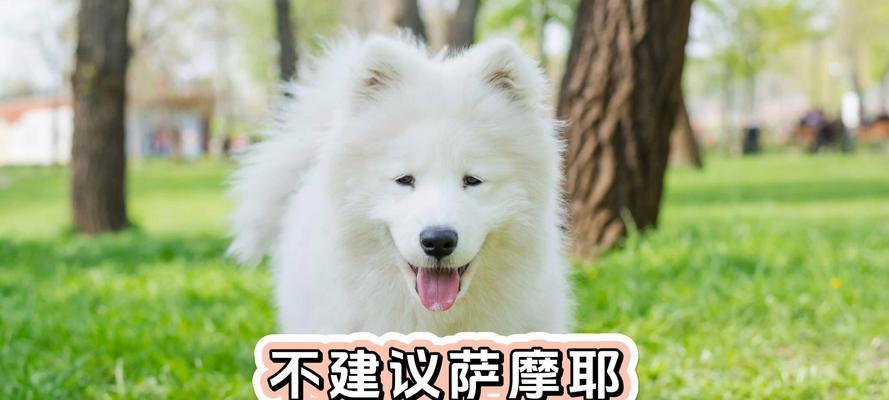 文章详情图片