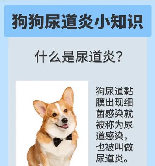文章详情图片