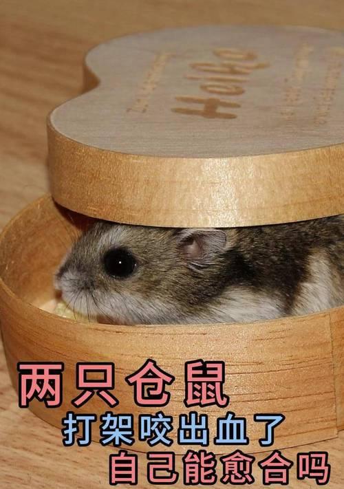 文章详情图片