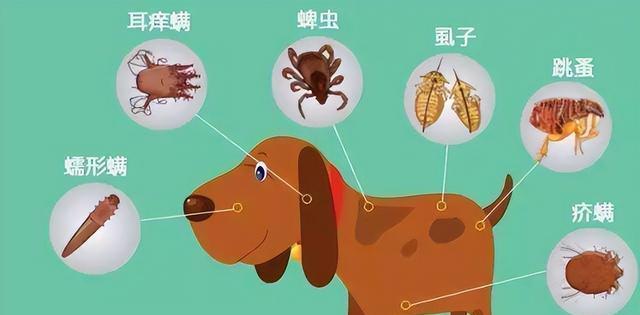 文章详情图片