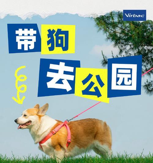 文章详情图片