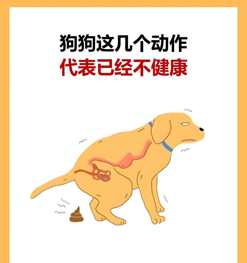 文章详情图片