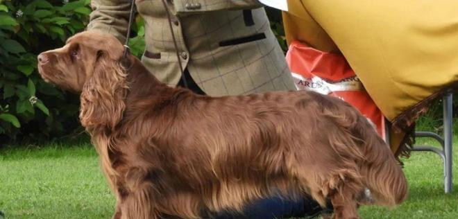 文章详情图片