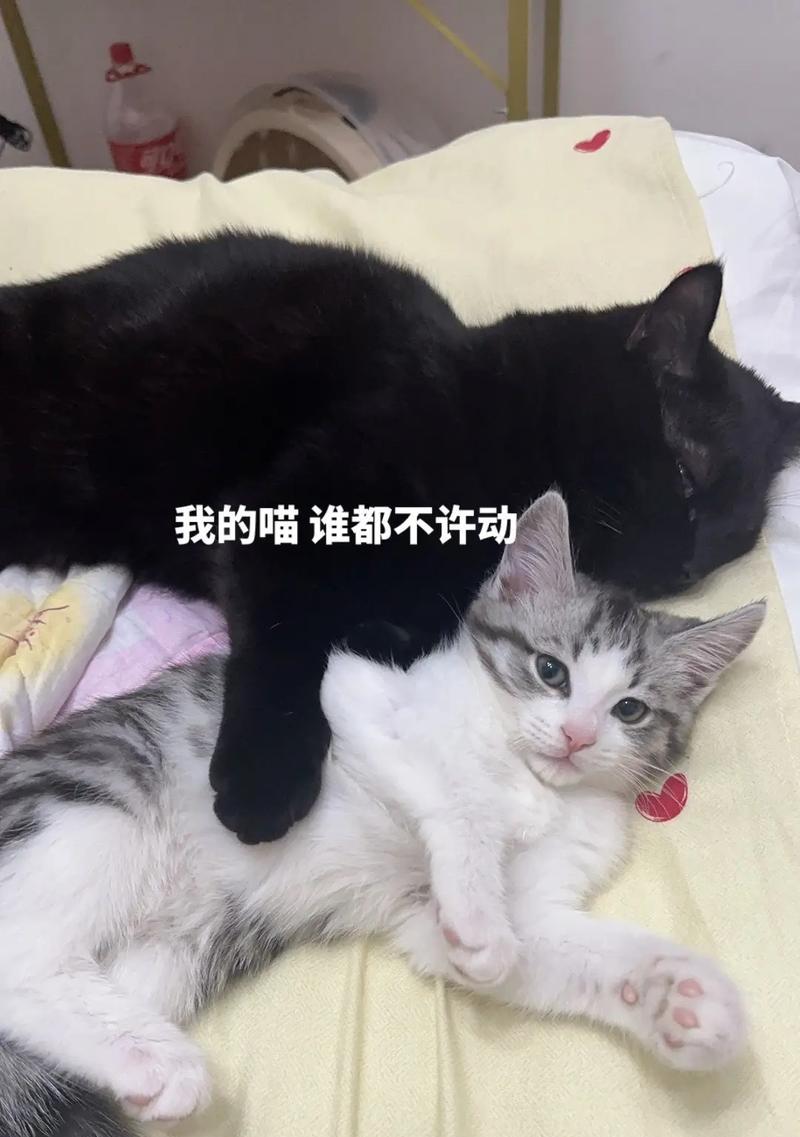 文章详情图片