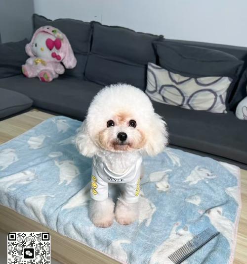 文章详情图片