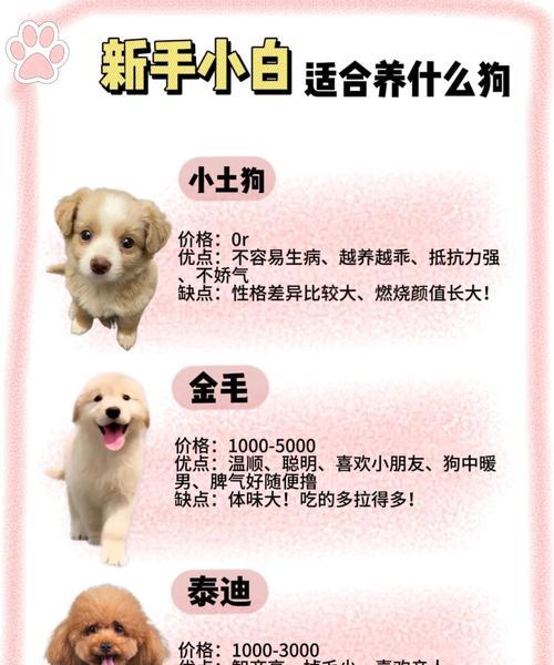文章详情图片