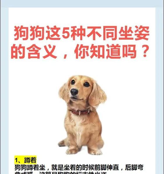 文章详情图片