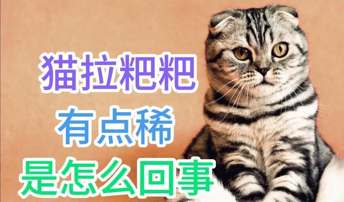 文章详情图片