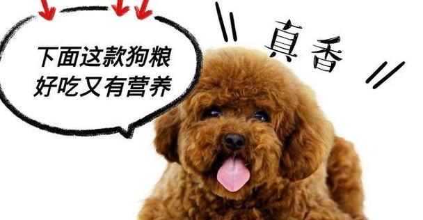 文章详情图片