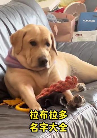 文章详情图片