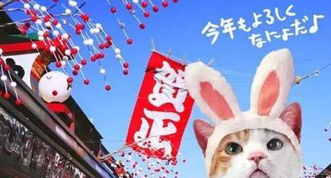 文章详情图片