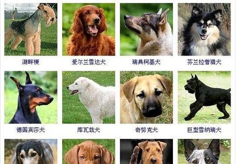 文章详情图片